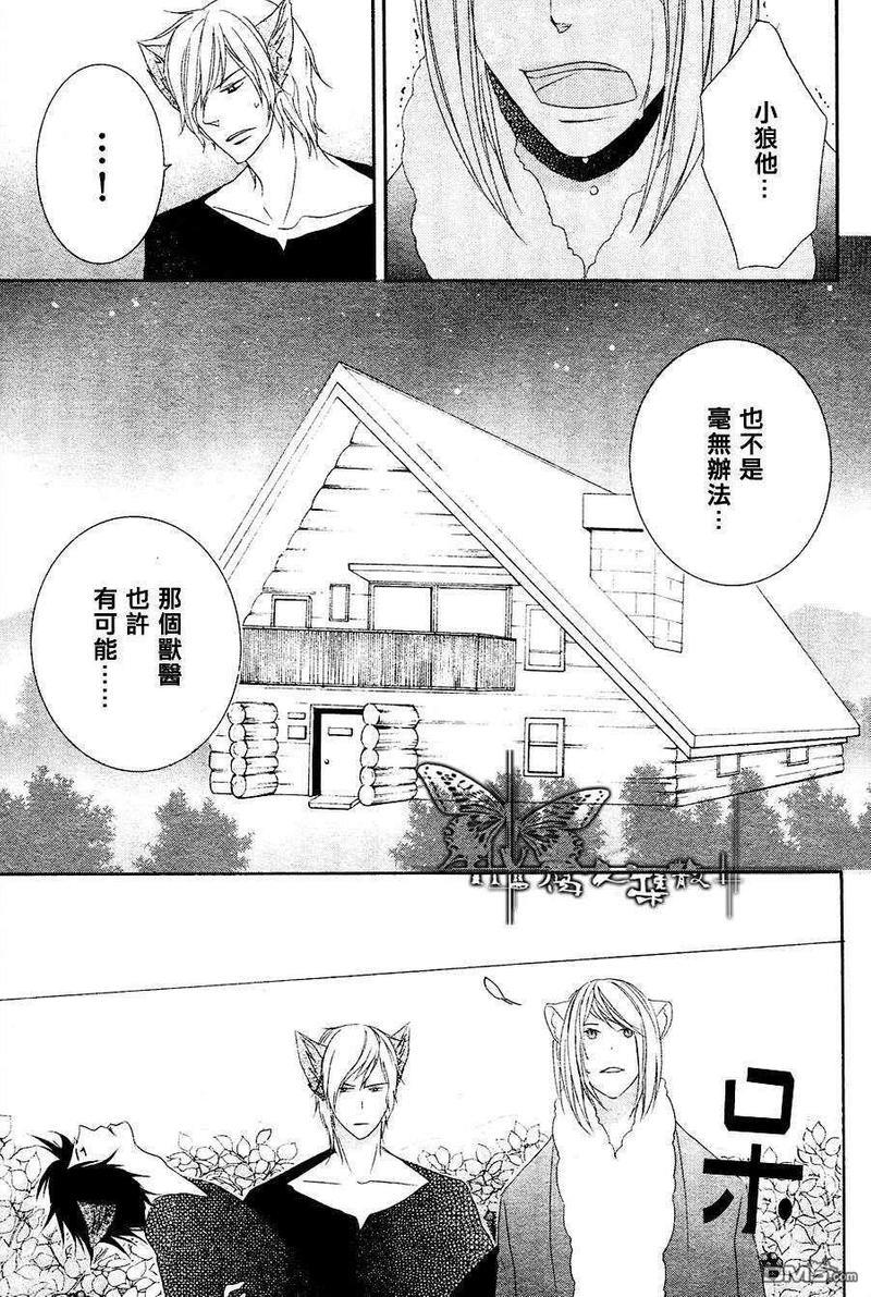 小虎与小狼[耽美]韩漫全集-第5话无删减无遮挡章节图片 