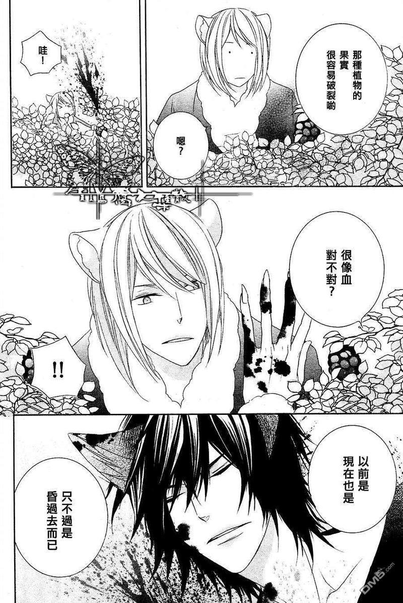小虎与小狼[耽美]韩漫全集-第5话无删减无遮挡章节图片 