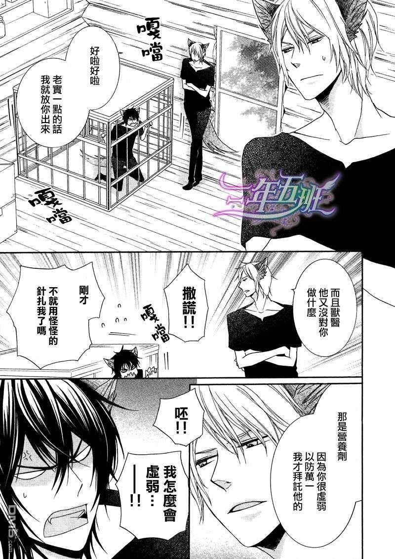 小虎与小狼[耽美]韩漫全集-第6话无删减无遮挡章节图片 