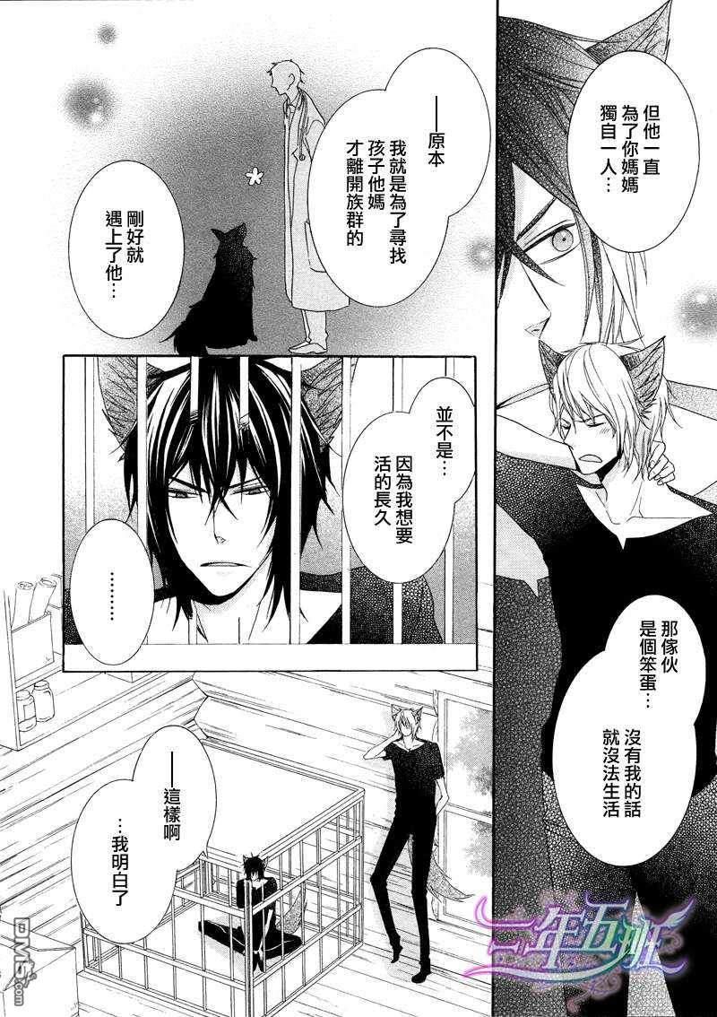 小虎与小狼[耽美]韩漫全集-第6话无删减无遮挡章节图片 