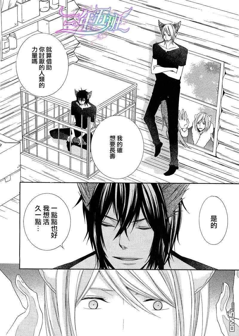 小虎与小狼[耽美]韩漫全集-第6话无删减无遮挡章节图片 