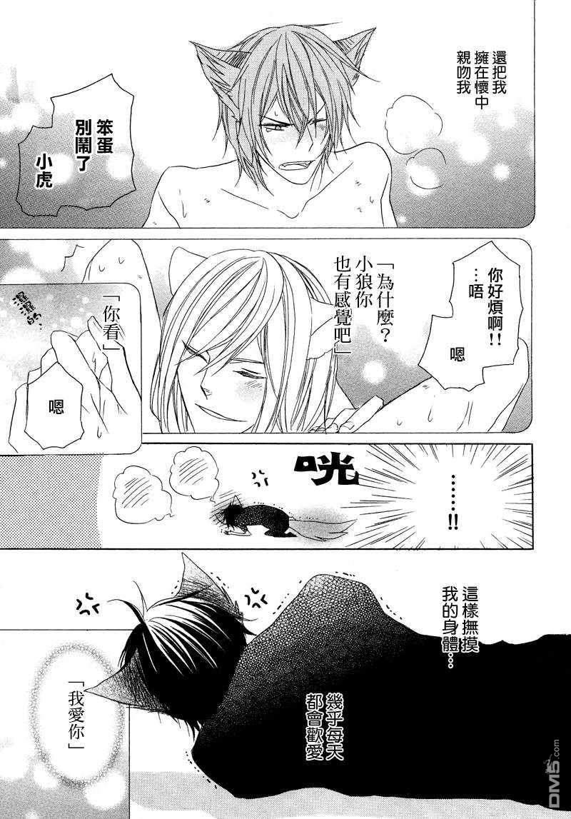 小虎与小狼[耽美]韩漫全集-第6话无删减无遮挡章节图片 