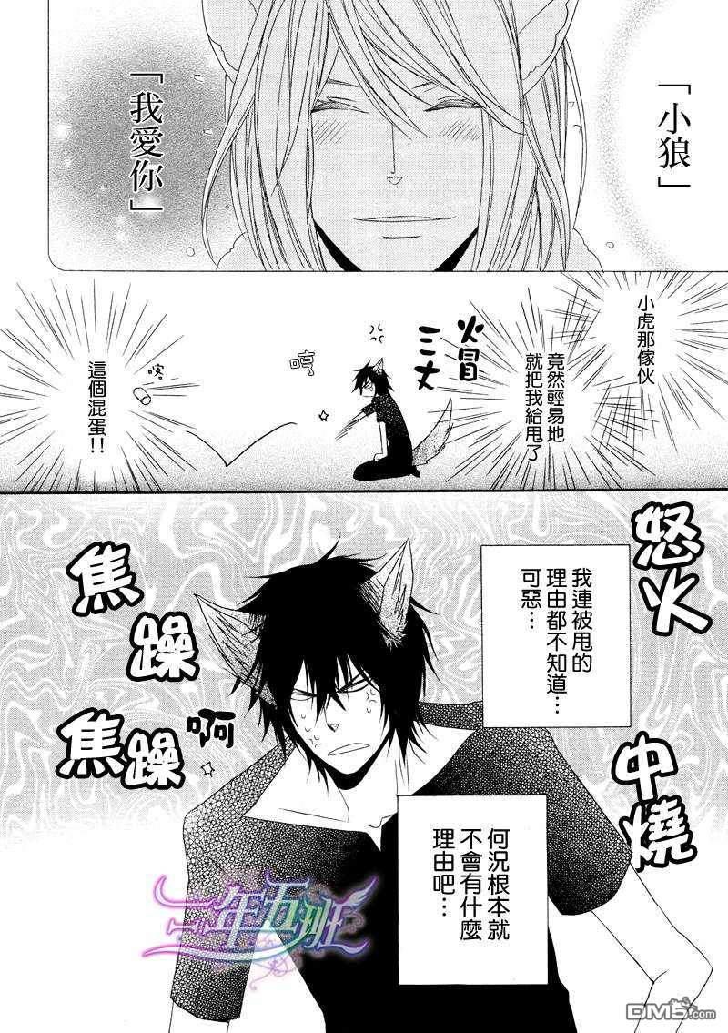 小虎与小狼[耽美]韩漫全集-第6话无删减无遮挡章节图片 