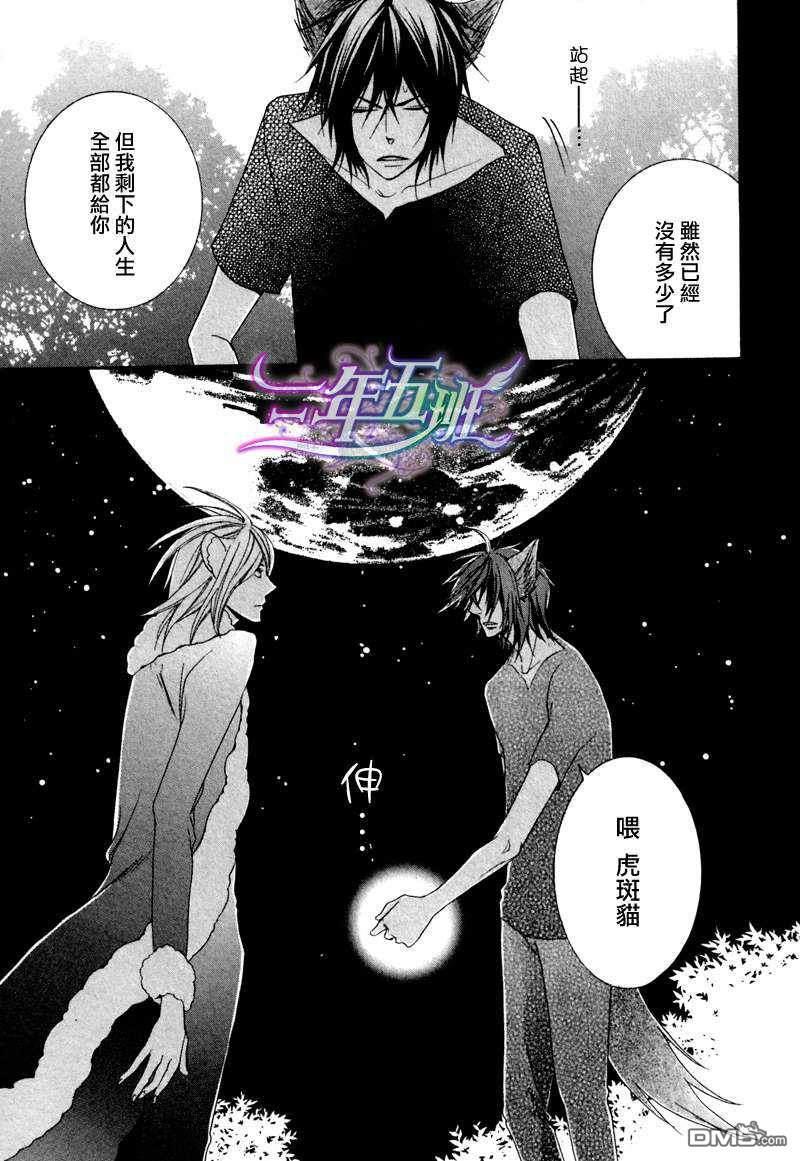 小虎与小狼[耽美]韩漫全集-第7话无删减无遮挡章节图片 