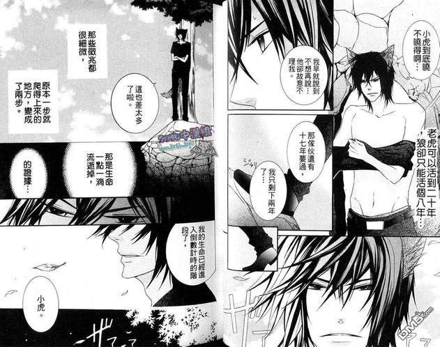 小虎与小狼[耽美]韩漫全集-续·小虎与小狼_续萌虎与小狼无删减无遮挡章节图片 
