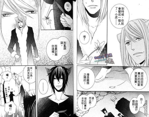 小虎与小狼[耽美]韩漫全集-续·小虎与小狼_续萌虎与小狼无删减无遮挡章节图片 
