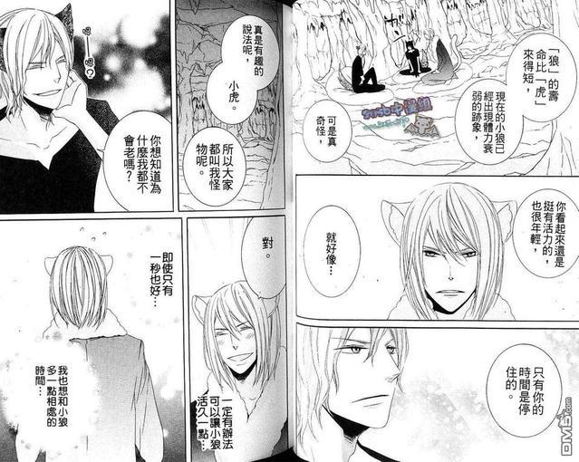 小虎与小狼[耽美]韩漫全集-续·小虎与小狼_续萌虎与小狼无删减无遮挡章节图片 