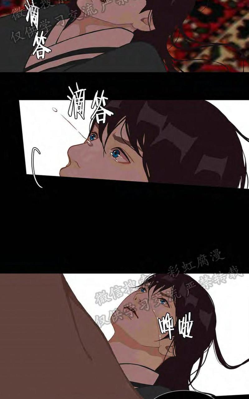 巴尔多宫[耽美]韩漫全集-第24话无删减无遮挡章节图片 