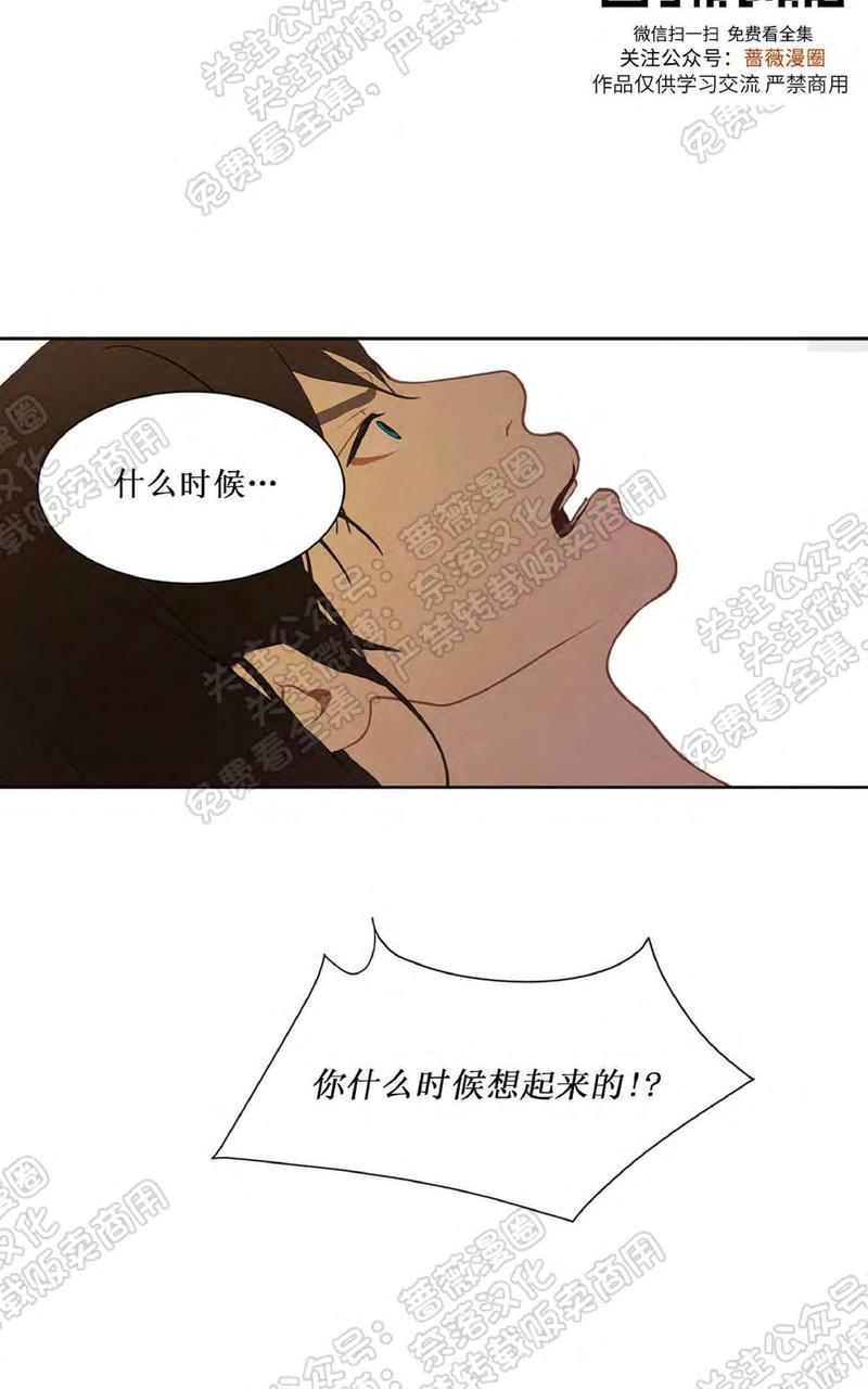 巴尔多宫[耽美]韩漫全集-第29话无删减无遮挡章节图片 