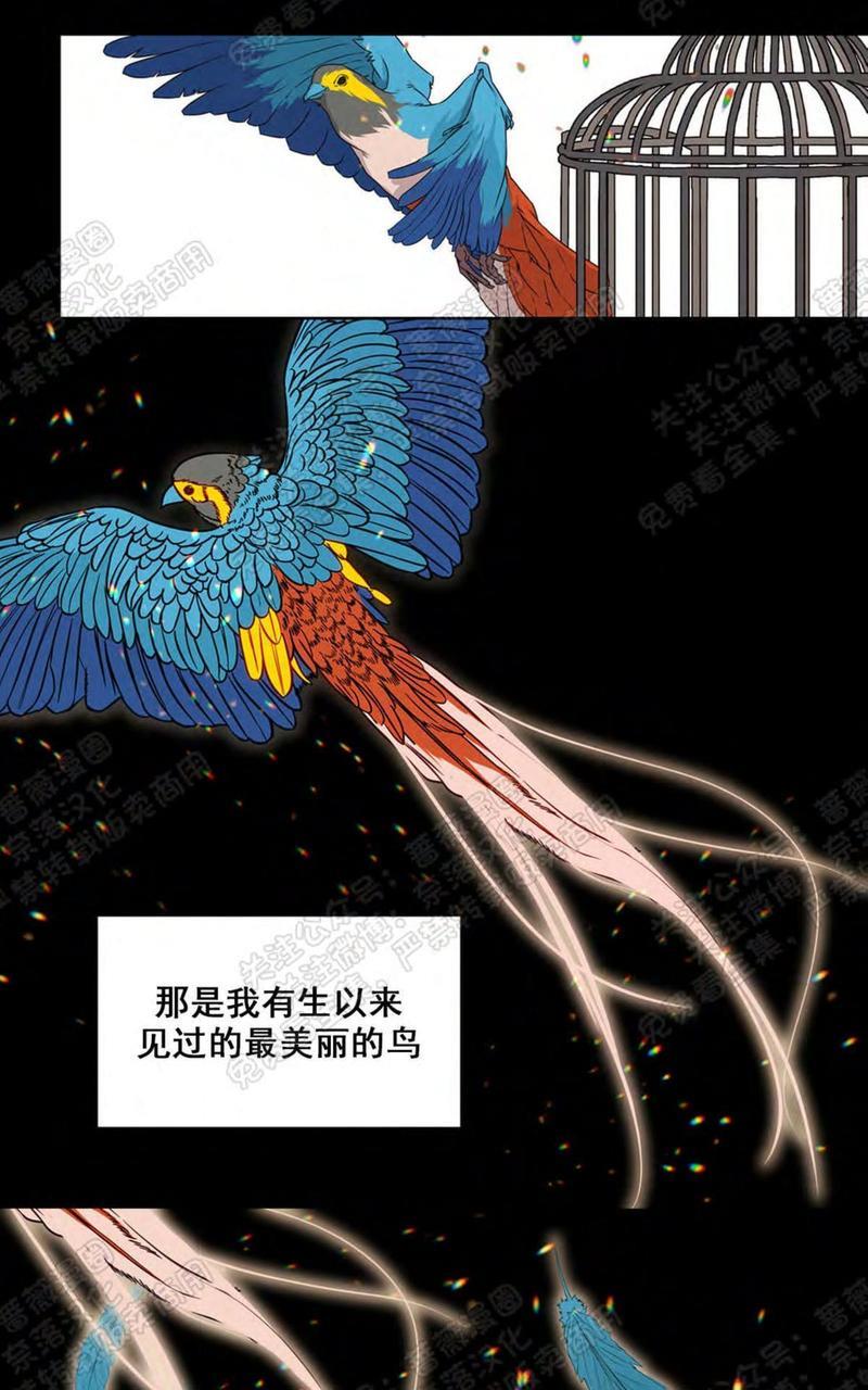 巴尔多宫[耽美]韩漫全集-第30话无删减无遮挡章节图片 
