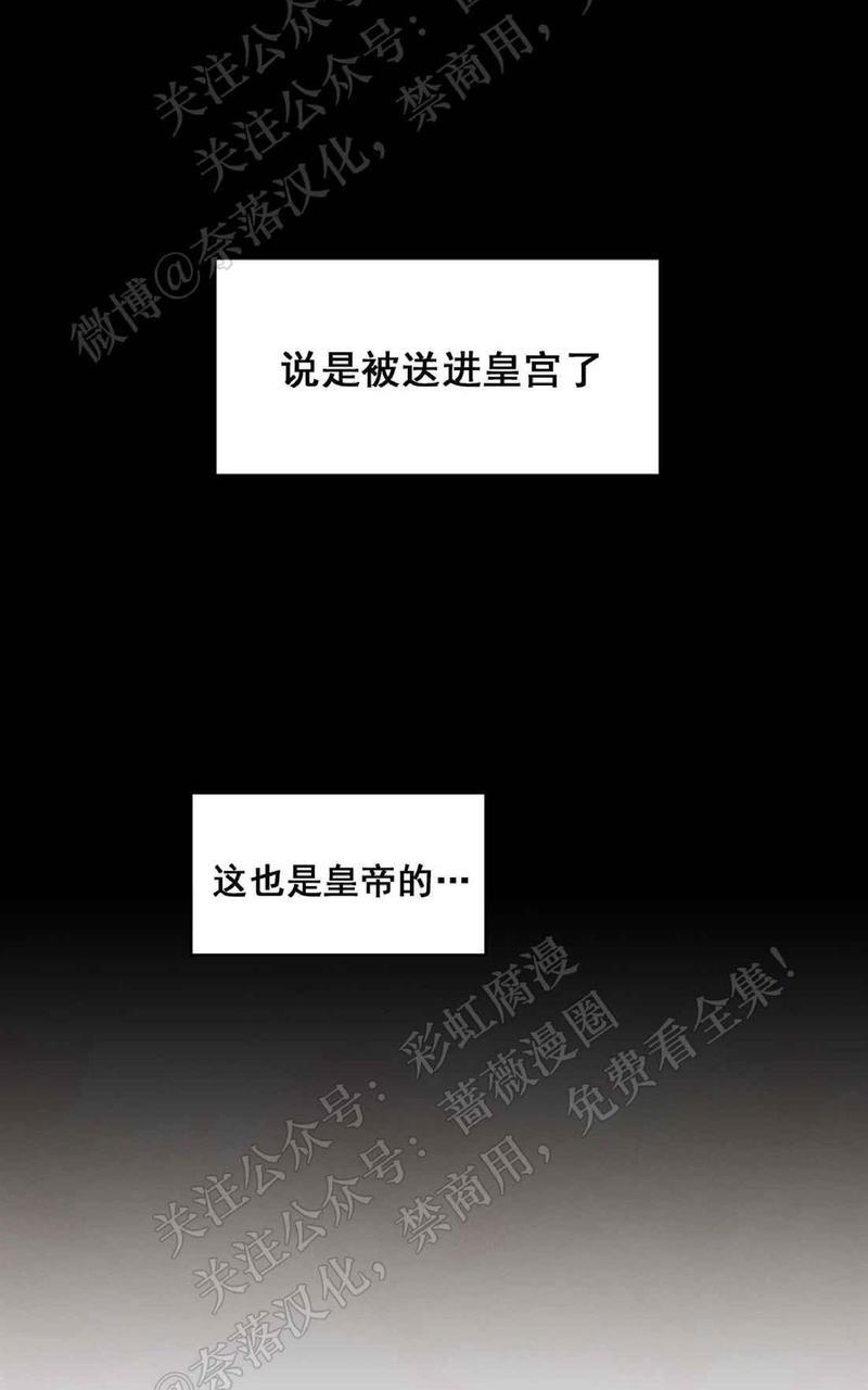 巴尔多宫[耽美]韩漫全集-第37话无删减无遮挡章节图片 