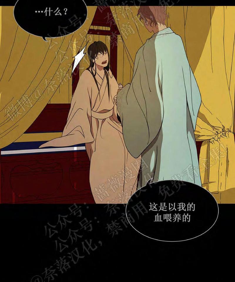 巴尔多宫[耽美]韩漫全集-第40话无删减无遮挡章节图片 