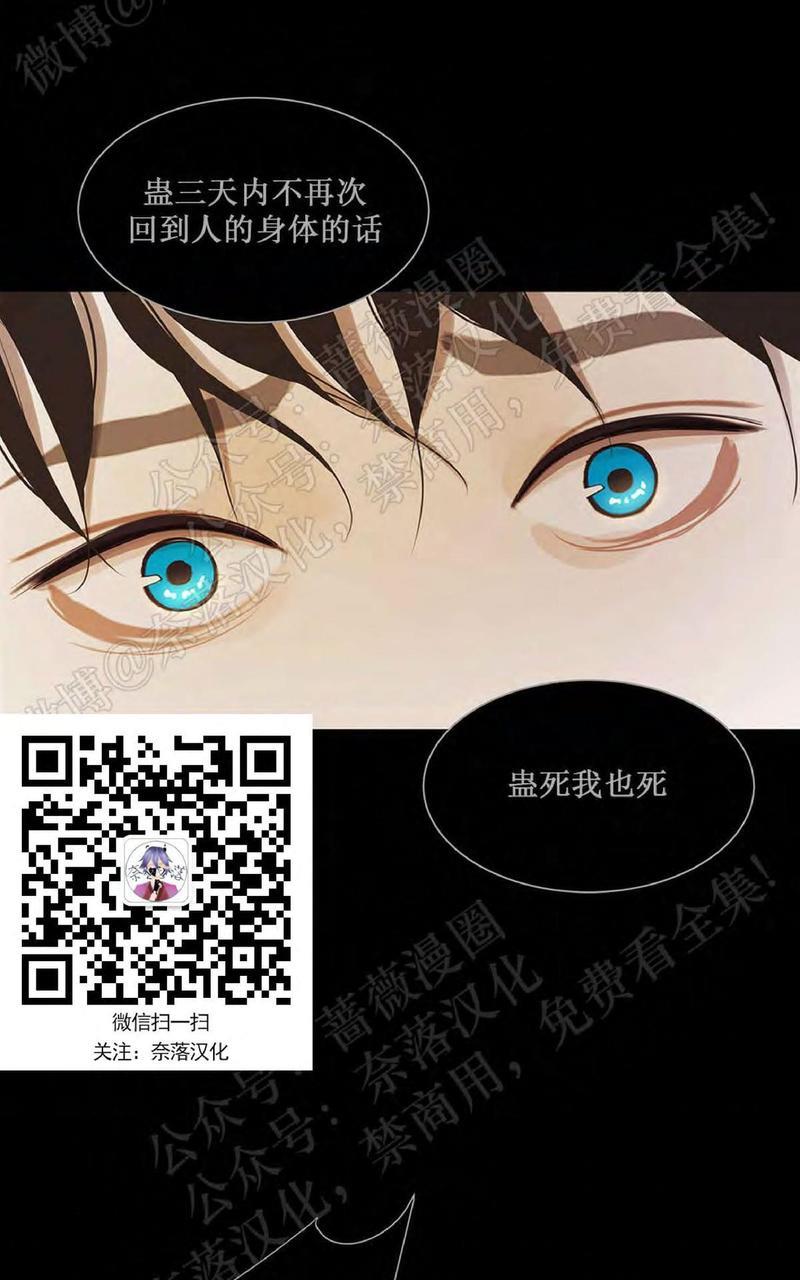 巴尔多宫[耽美]韩漫全集-第40话无删减无遮挡章节图片 