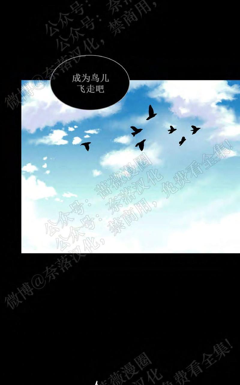 巴尔多宫[耽美]韩漫全集-第40话无删减无遮挡章节图片 