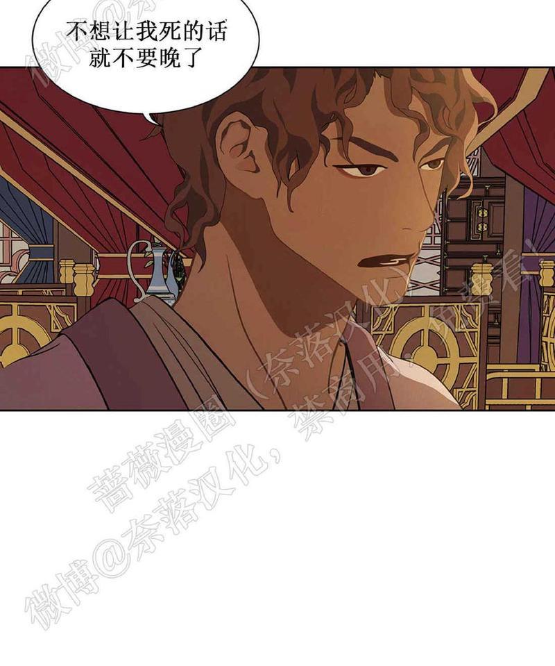 巴尔多宫[耽美]韩漫全集-第42话无删减无遮挡章节图片 