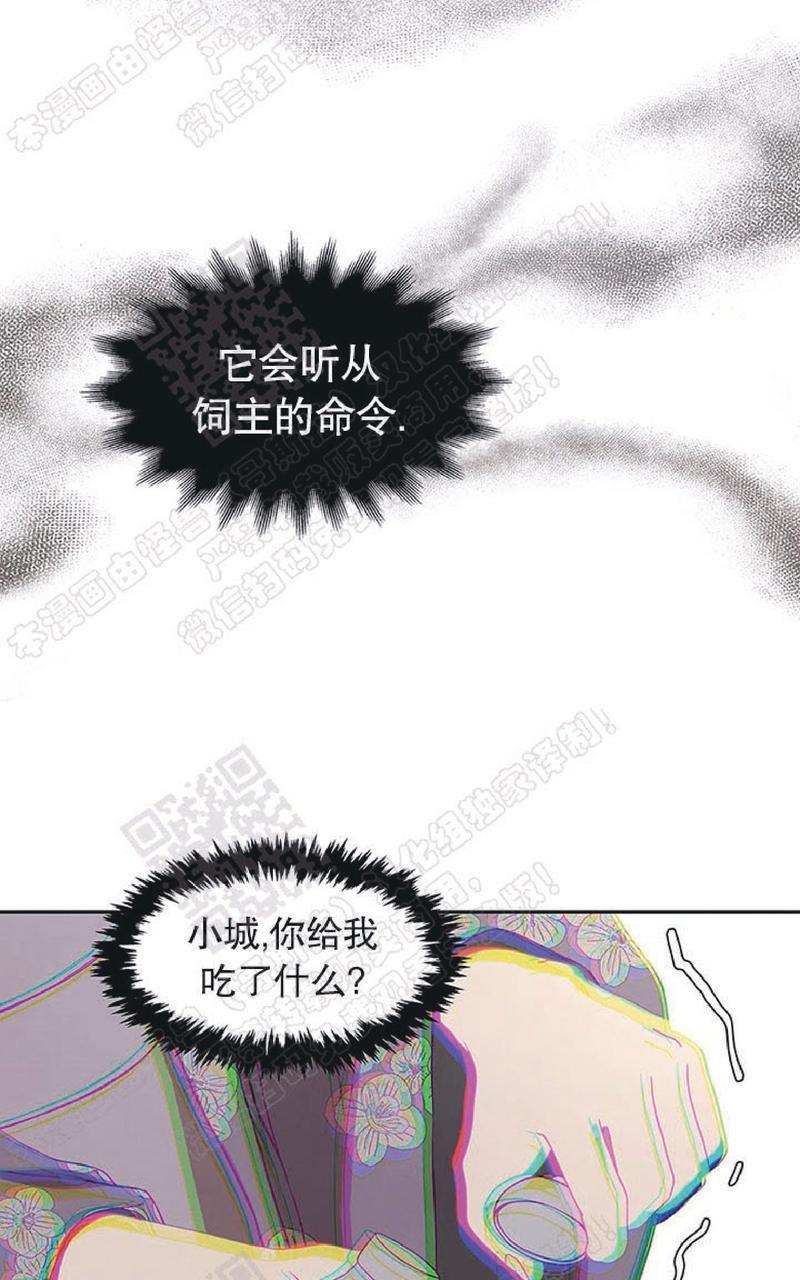 巴尔多宫[耽美]韩漫全集-第46话无删减无遮挡章节图片 