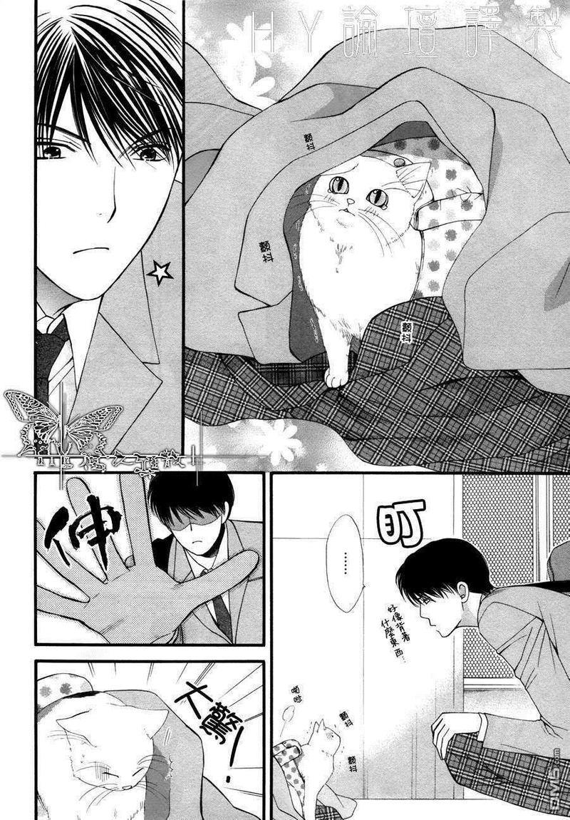 猫咪猫咪Honey[耽美]韩漫全集-第1话无删减无遮挡章节图片 