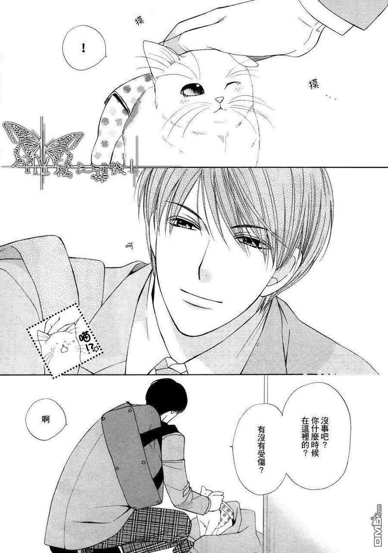 猫咪猫咪Honey[耽美]韩漫全集-第1话无删减无遮挡章节图片 