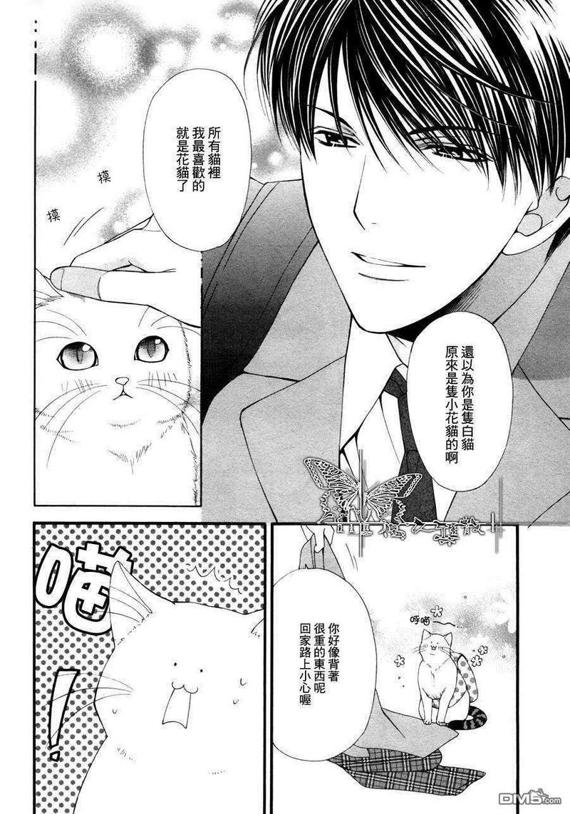 猫咪猫咪Honey[耽美]韩漫全集-第1话无删减无遮挡章节图片 