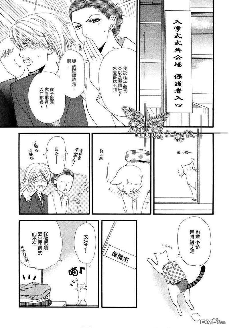 猫咪猫咪Honey[耽美]韩漫全集-第1话无删减无遮挡章节图片 