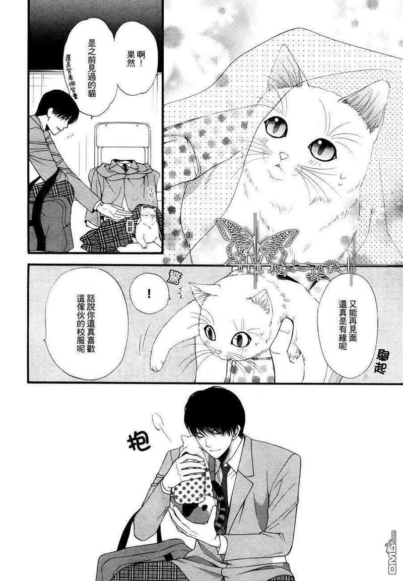 猫咪猫咪Honey[耽美]韩漫全集-第2话无删减无遮挡章节图片 