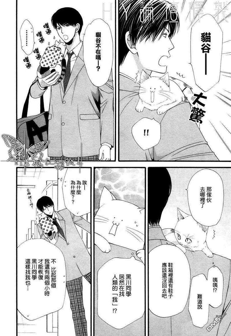 猫咪猫咪Honey[耽美]韩漫全集-第2话无删减无遮挡章节图片 
