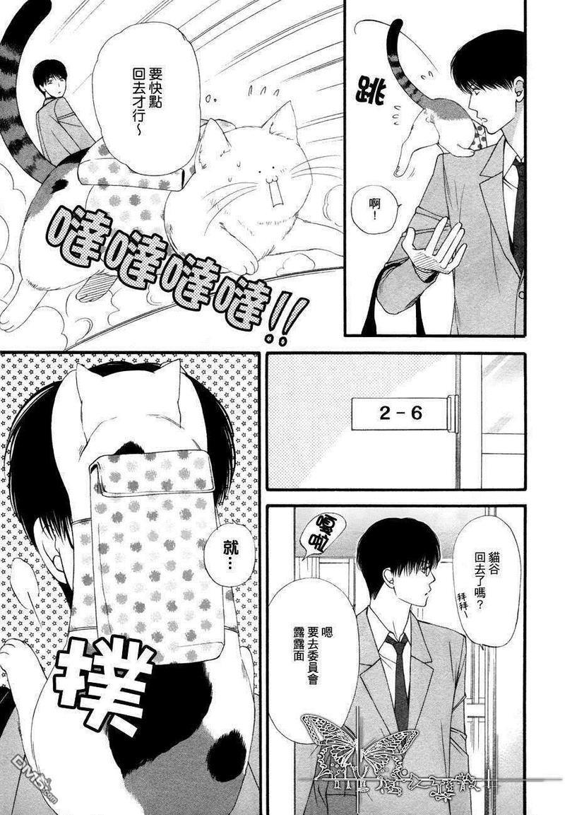 猫咪猫咪Honey[耽美]韩漫全集-第2话无删减无遮挡章节图片 