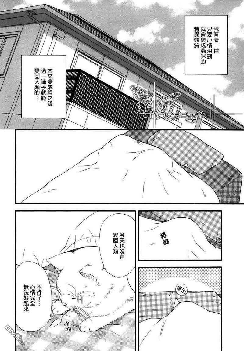 猫咪猫咪Honey[耽美]韩漫全集-第4话无删减无遮挡章节图片 