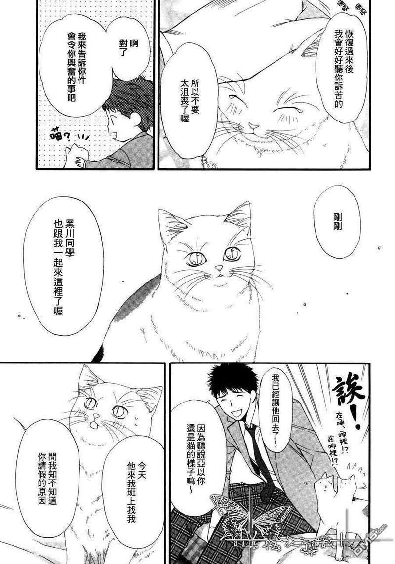 猫咪猫咪Honey[耽美]韩漫全集-第4话无删减无遮挡章节图片 