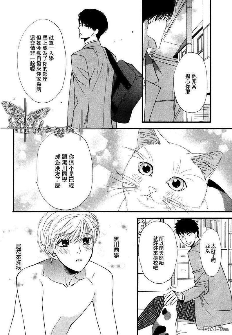 猫咪猫咪Honey[耽美]韩漫全集-第4话无删减无遮挡章节图片 