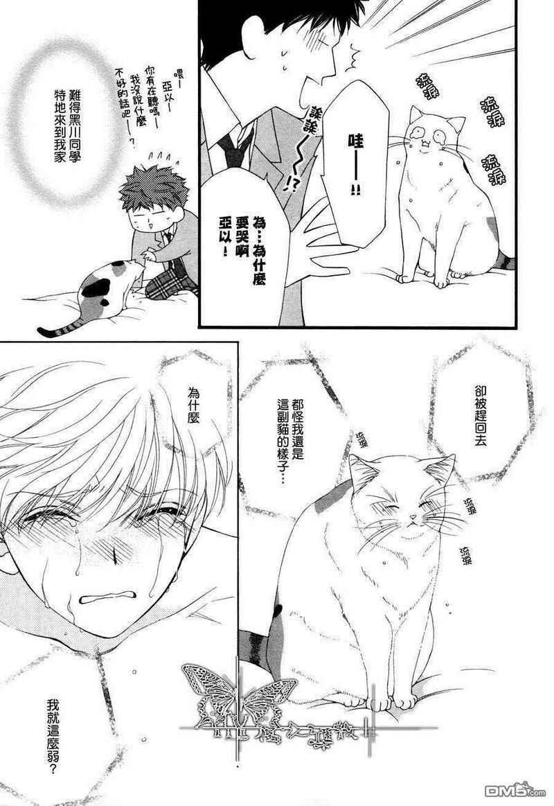 猫咪猫咪Honey[耽美]韩漫全集-第4话无删减无遮挡章节图片 