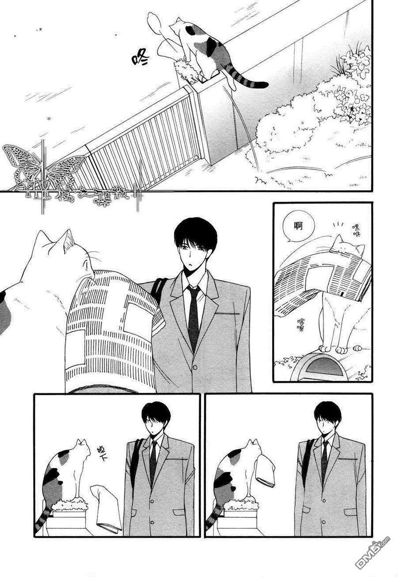 猫咪猫咪Honey[耽美]韩漫全集-第4话无删减无遮挡章节图片 