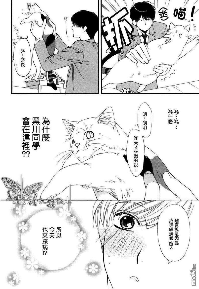 猫咪猫咪Honey[耽美]韩漫全集-第4话无删减无遮挡章节图片 