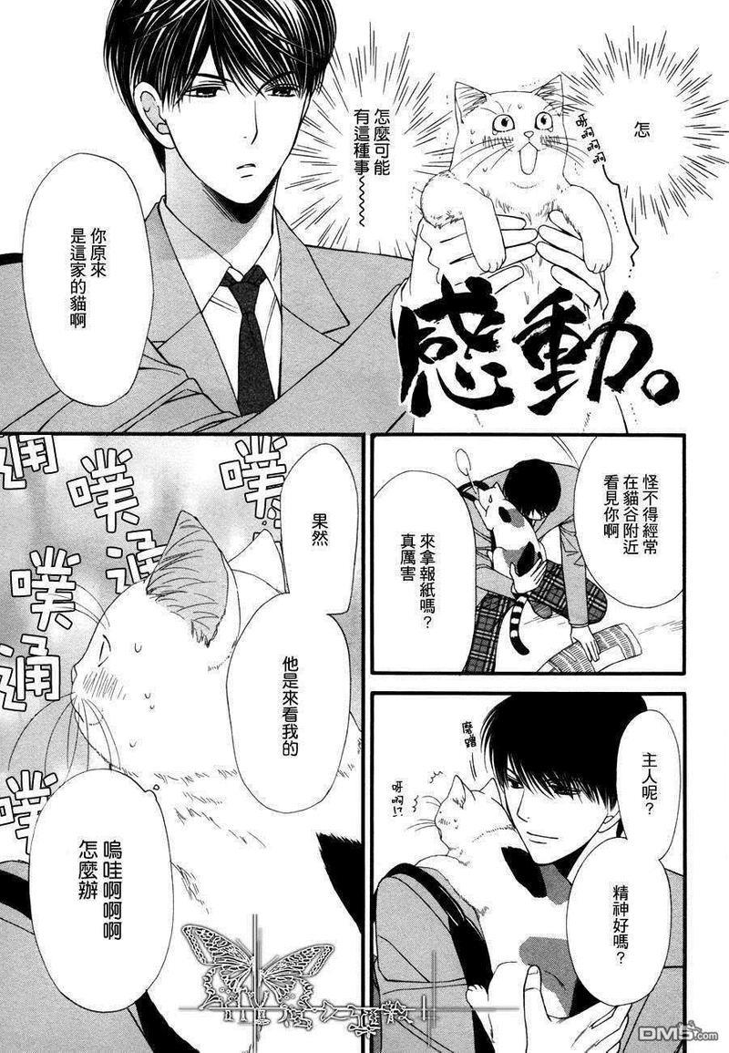 猫咪猫咪Honey[耽美]韩漫全集-第4话无删减无遮挡章节图片 