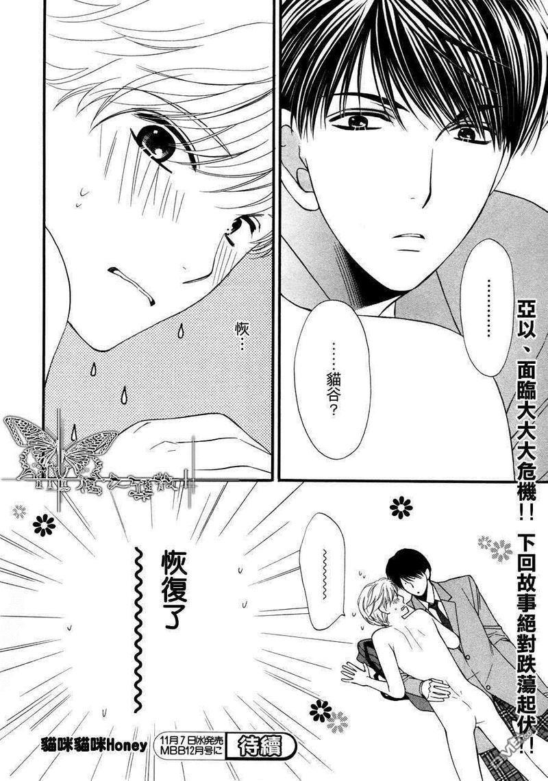 猫咪猫咪Honey[耽美]韩漫全集-第4话无删减无遮挡章节图片 