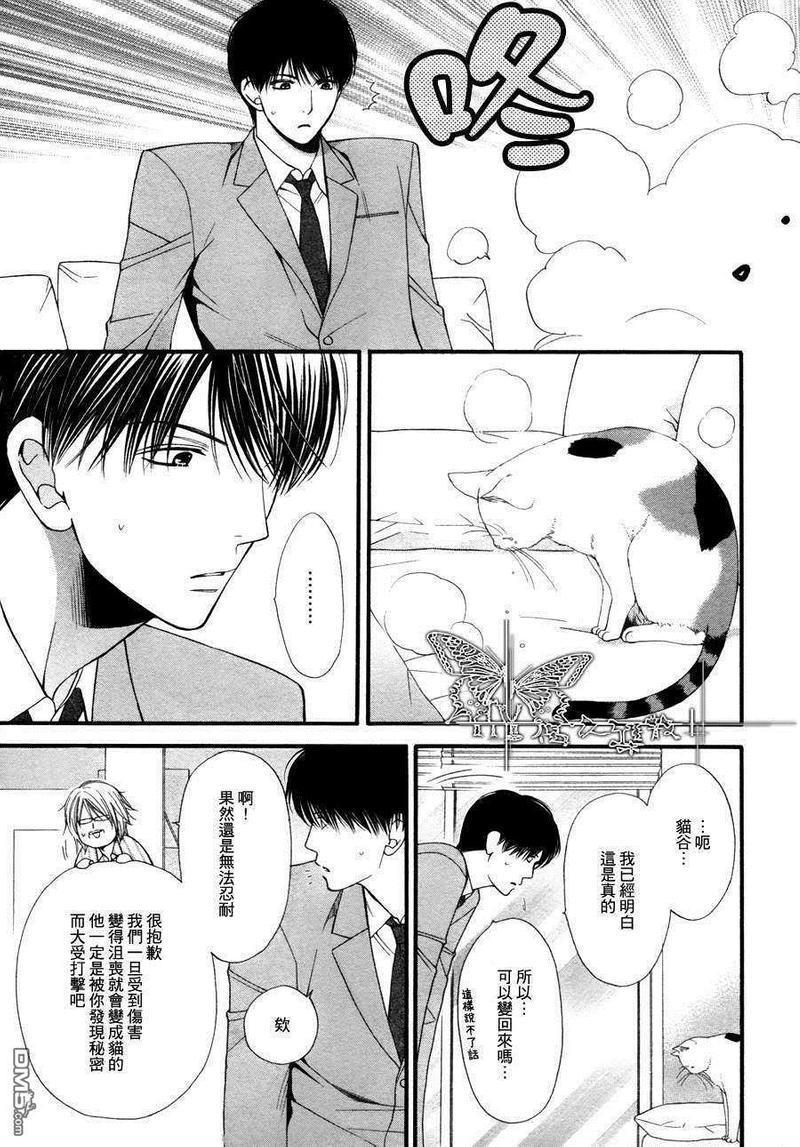 猫咪猫咪Honey[耽美]韩漫全集-第5话无删减无遮挡章节图片 