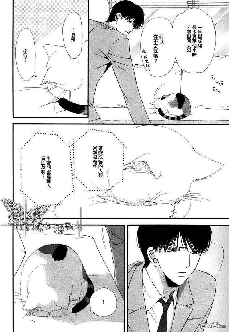 猫咪猫咪Honey[耽美]韩漫全集-第5话无删减无遮挡章节图片 