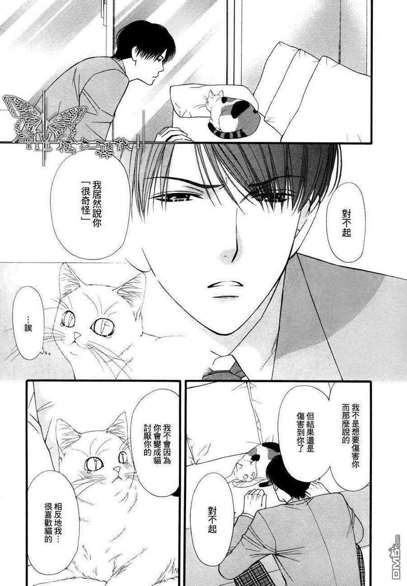 猫咪猫咪Honey[耽美]韩漫全集-第5话无删减无遮挡章节图片 