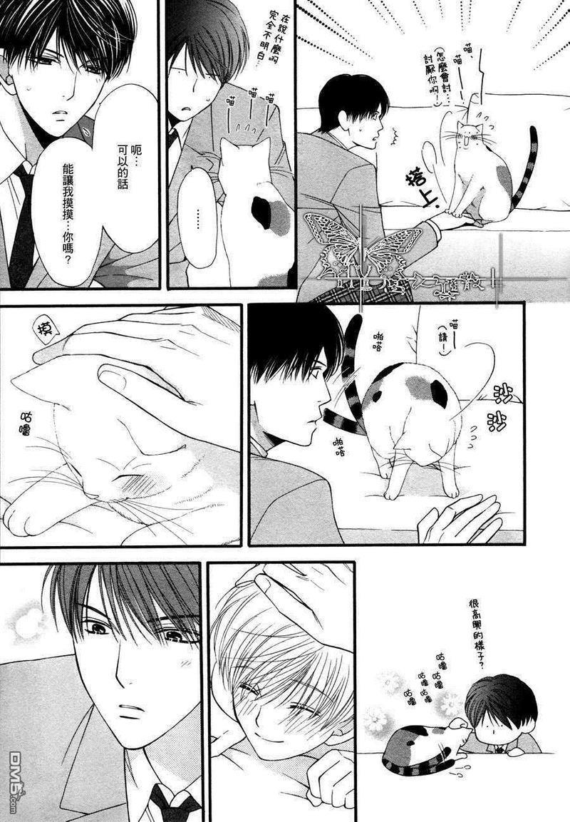 猫咪猫咪Honey[耽美]韩漫全集-第5话无删减无遮挡章节图片 