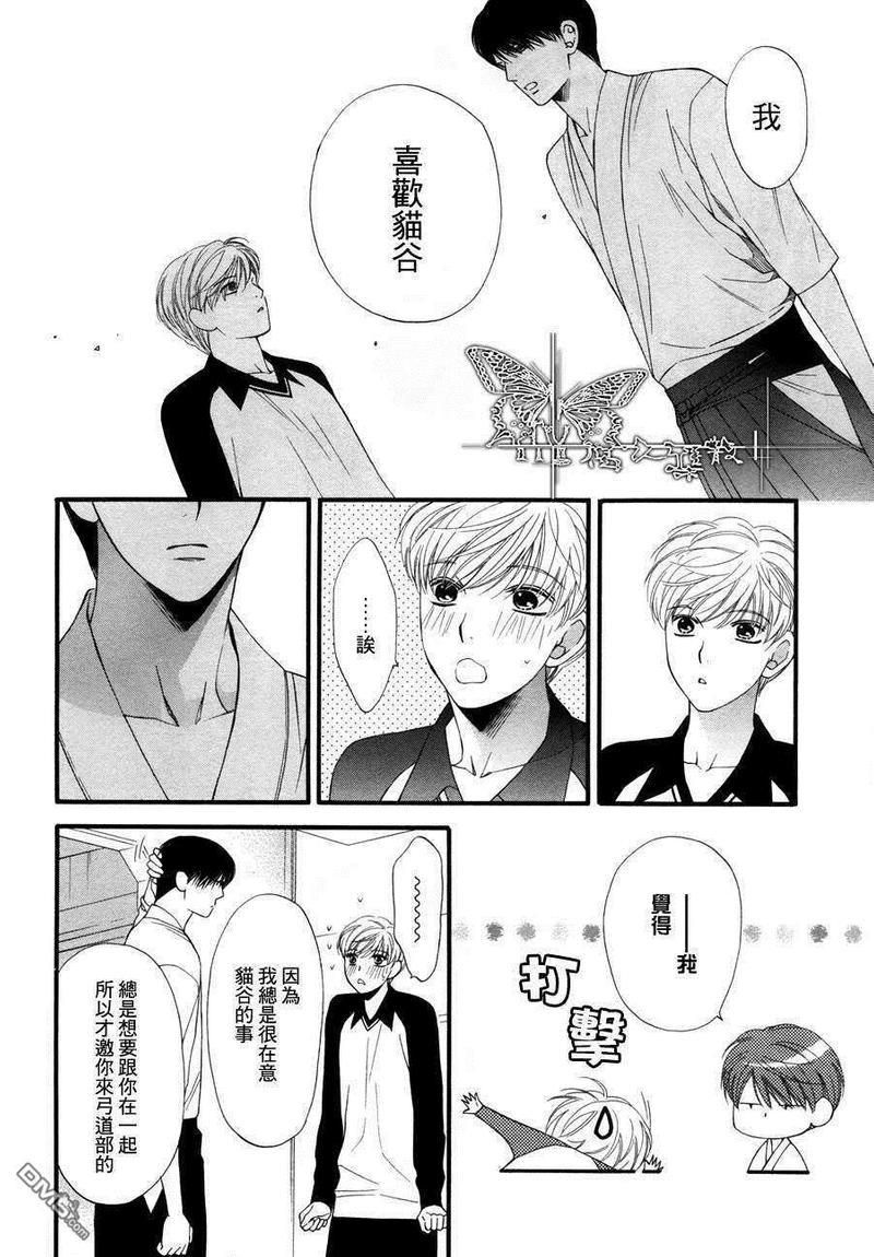 猫咪猫咪Honey[耽美]韩漫全集-第6话无删减无遮挡章节图片 