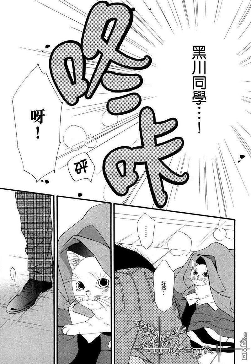 猫咪猫咪Honey[耽美]韩漫全集-第6话无删减无遮挡章节图片 