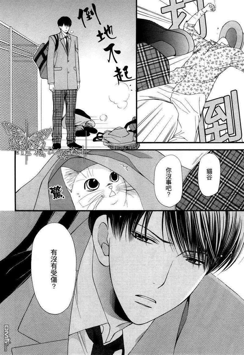 猫咪猫咪Honey[耽美]韩漫全集-第6话无删减无遮挡章节图片 