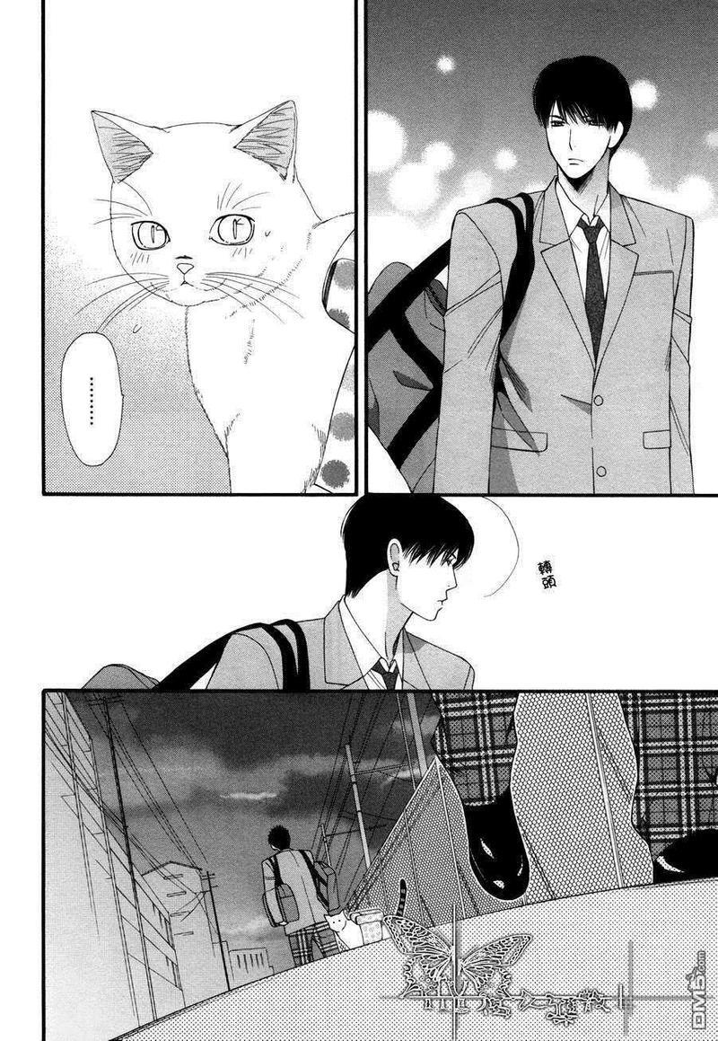 猫咪猫咪Honey[耽美]韩漫全集-第6话无删减无遮挡章节图片 