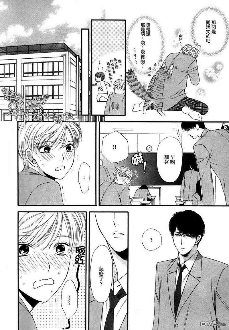 猫咪猫咪Honey[耽美]韩漫全集-第7话无删减无遮挡章节图片 