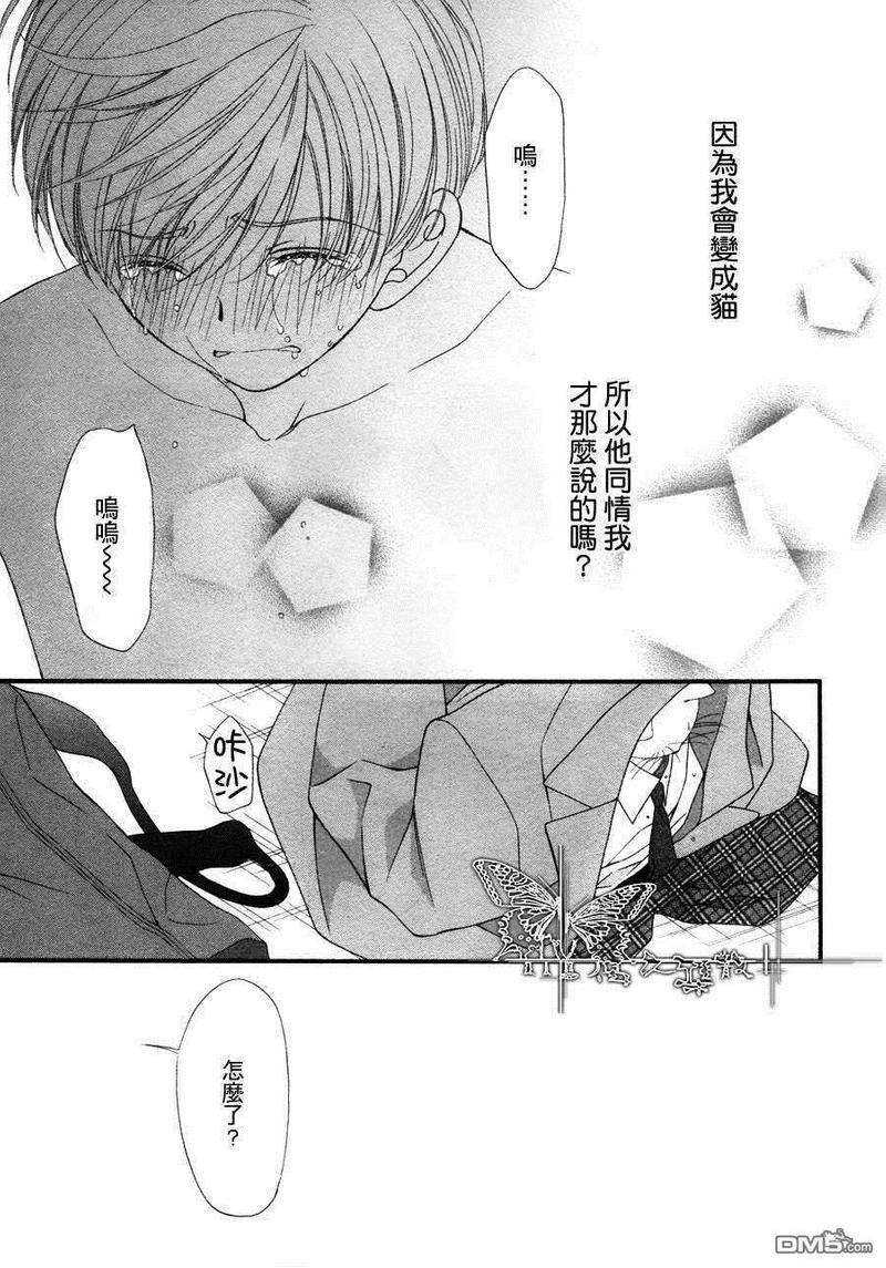 猫咪猫咪Honey[耽美]韩漫全集-第8话无删减无遮挡章节图片 