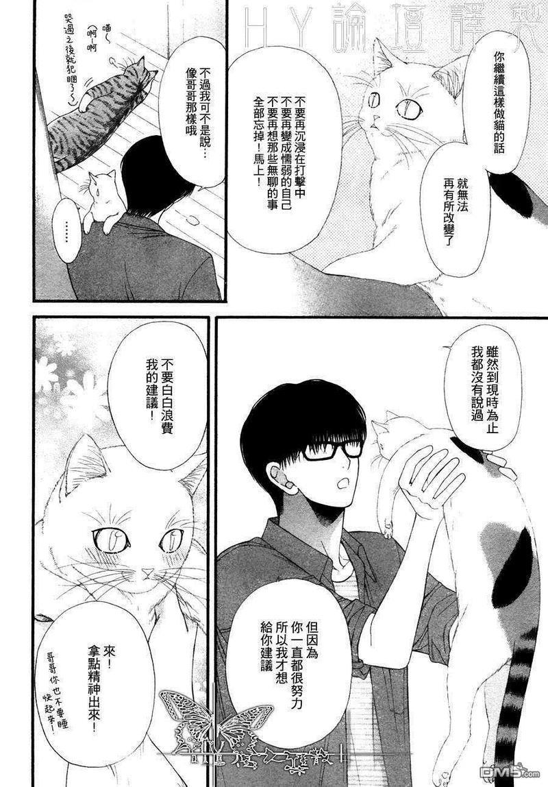 猫咪猫咪Honey[耽美]韩漫全集-第9话无删减无遮挡章节图片 