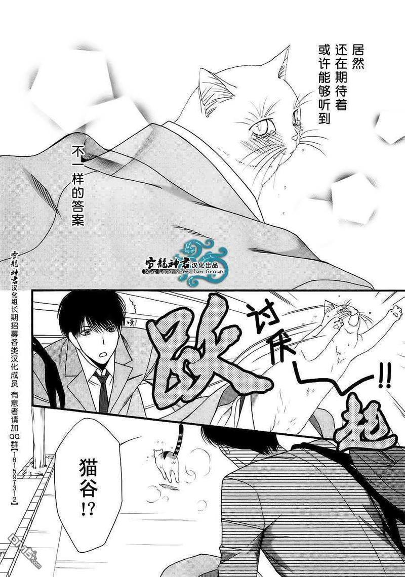 猫咪猫咪Honey[耽美]韩漫全集-第11话无删减无遮挡章节图片 
