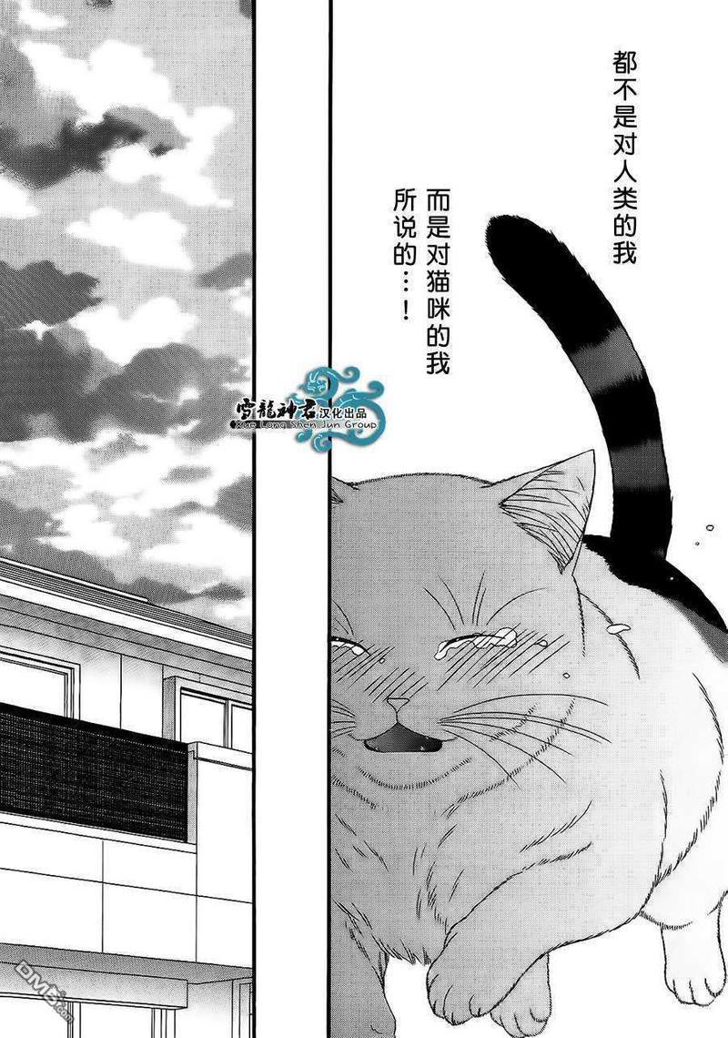 猫咪猫咪Honey[耽美]韩漫全集-第11话无删减无遮挡章节图片 