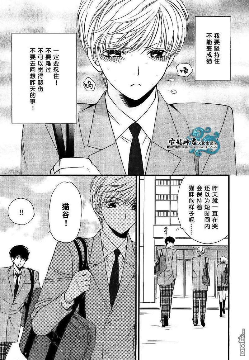 猫咪猫咪Honey[耽美]韩漫全集-第12话无删减无遮挡章节图片 
