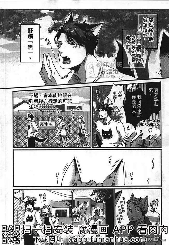 发情野兽日和[耽美]韩漫全集-第1话无删减无遮挡章节图片 